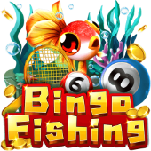 Bingo Fishing on bingoplus app
