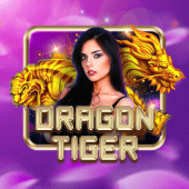Dragon Tiger on bingoplus app