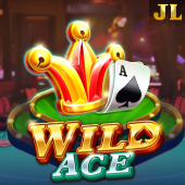 Wild Ace slot on bingoplus app